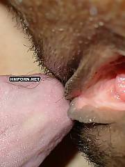 Home made sex - sappy oral amateur sex with sexy dark haired mistress and wet pussy hardcore drill