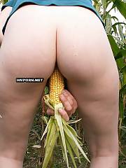 Amateur porn - girl accidentally appeared at the field of corn, and turned cornholio to pornholio, watch this nasty chick banging herself by corncob and getting orgasm with squirting