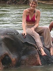 Amateur xxx pics of sweet wife liking vacation with husband in Thailand, In the midday they ride elephants and in the night they fuck like rabbits