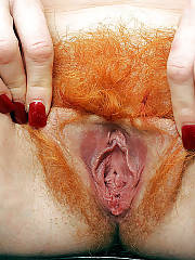 Hot redhead mature bitch jerking and fondling her red hairy pussy.